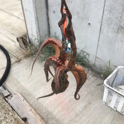 久しぶりに釣れた！