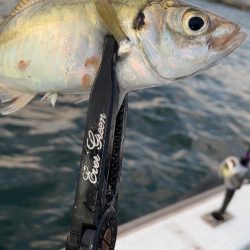 初めての乗合アジ便