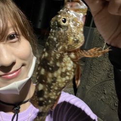 ゆるっとナイトアジングにっ