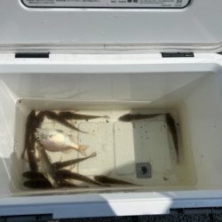 怒るで～！！しかし～・・・