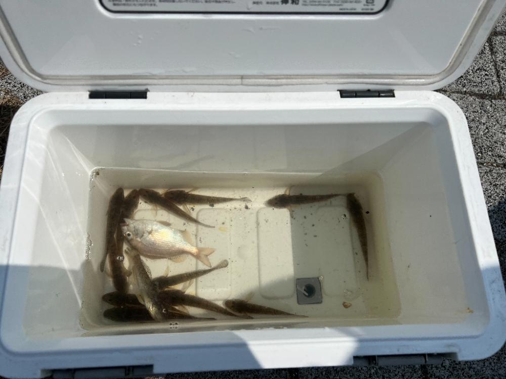 怒るで~!!しかし~・・・