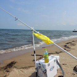 キス釣り　遠征