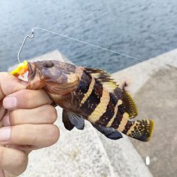 小潮にしては…