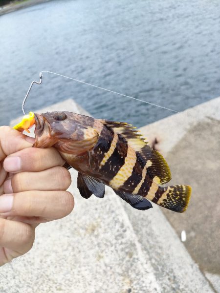 小潮にしては…