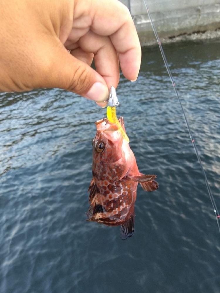 松村渡船さんでロックショート便