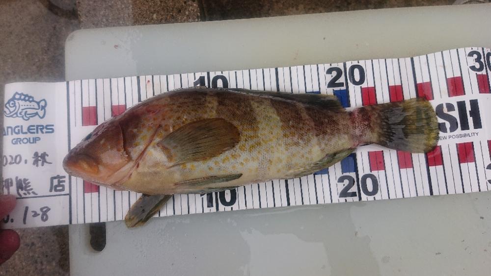 大潮の微妙な釣果