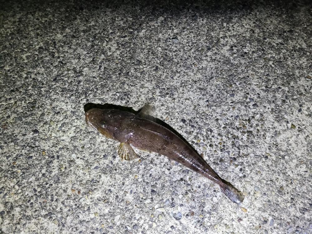 遠征(三重県前半)