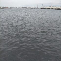 カワハギ爆釣!!