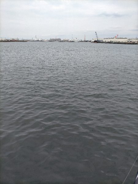 カワハギ爆釣!!