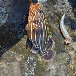 沖ノ島遠征２日目