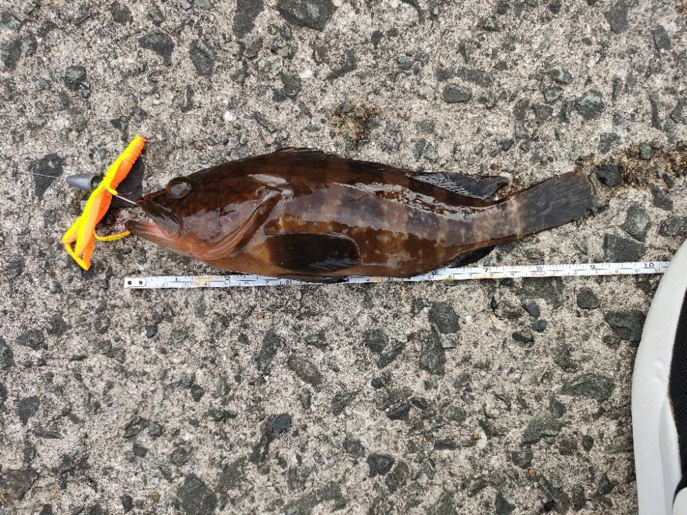 またも浜田港にて