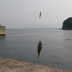 まさかの釣果