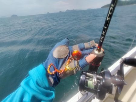 松山沖鯛ラバ🐟REDBACKで型狙い💥