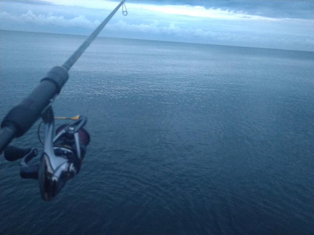 越前の新子の様子