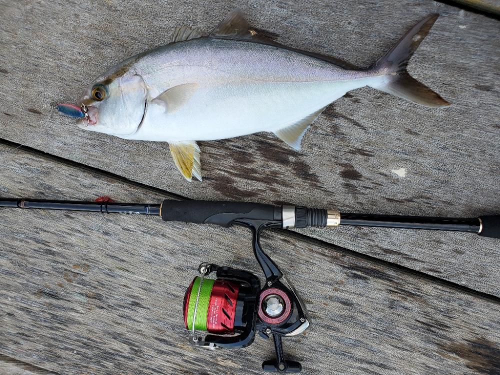 ダイソーショアジギング