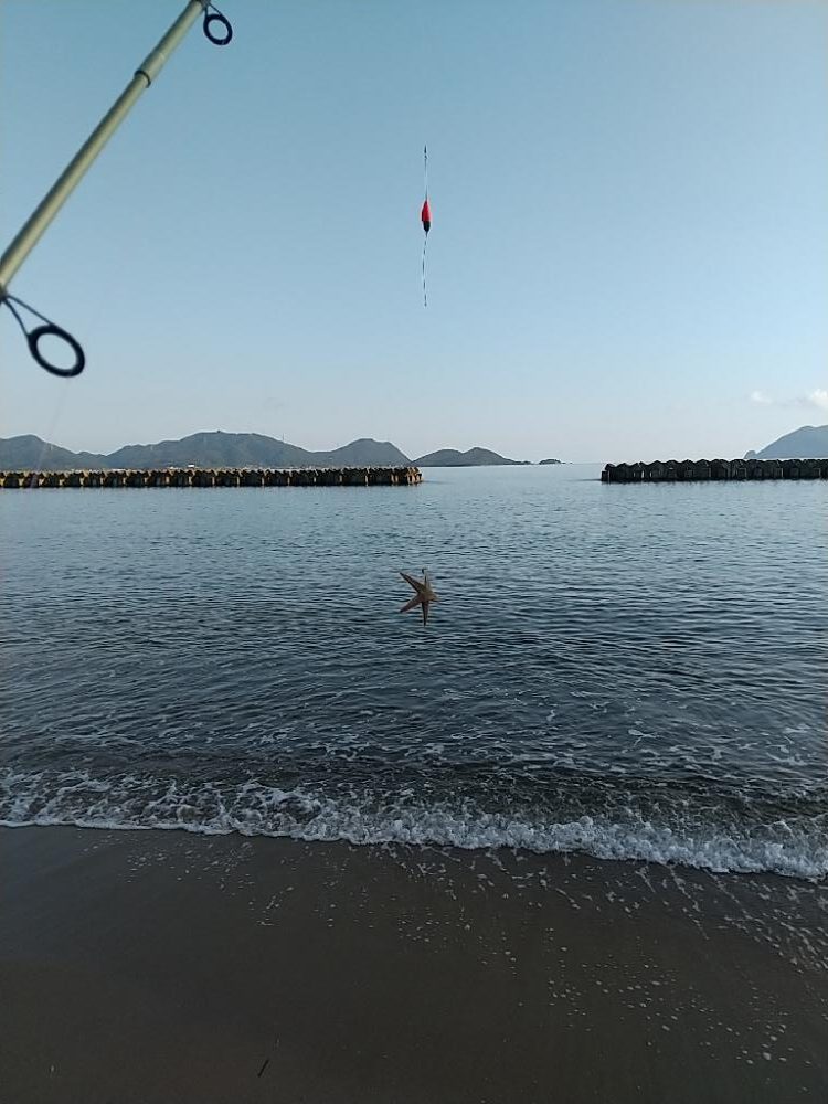 キス釣り 新規開拓も難しい