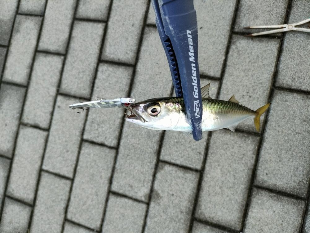 久々にサバゲー