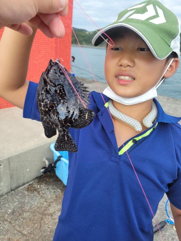 雨の中、のませでガシラ