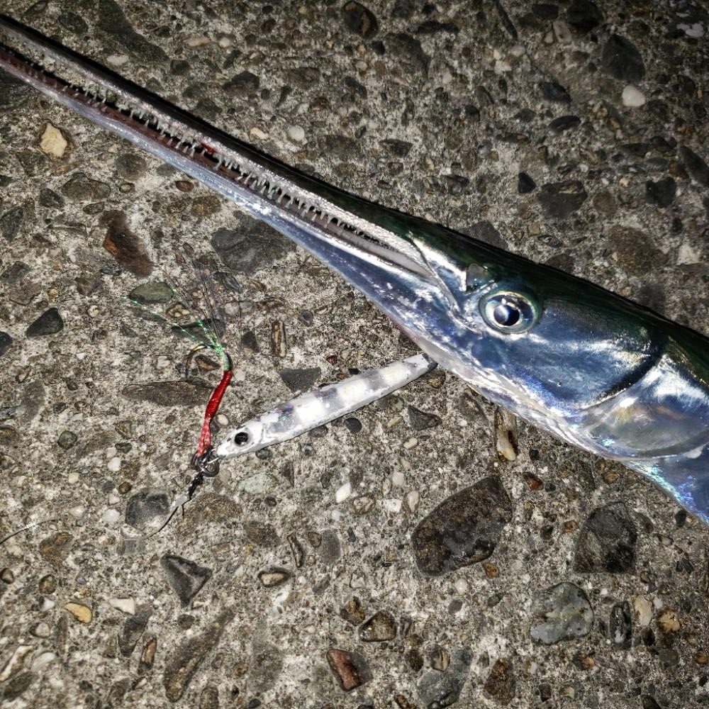 今朝はエソじゃない!