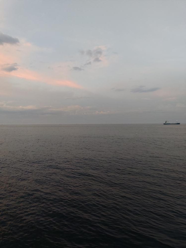 がしら、太刀魚