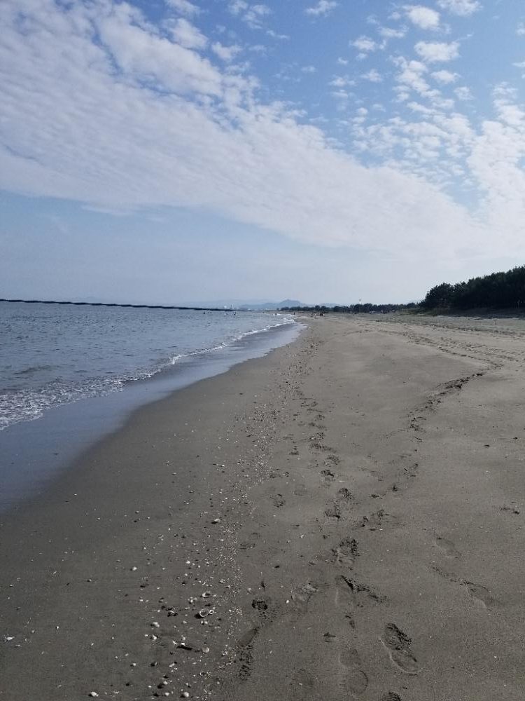 最近渋いキス釣り