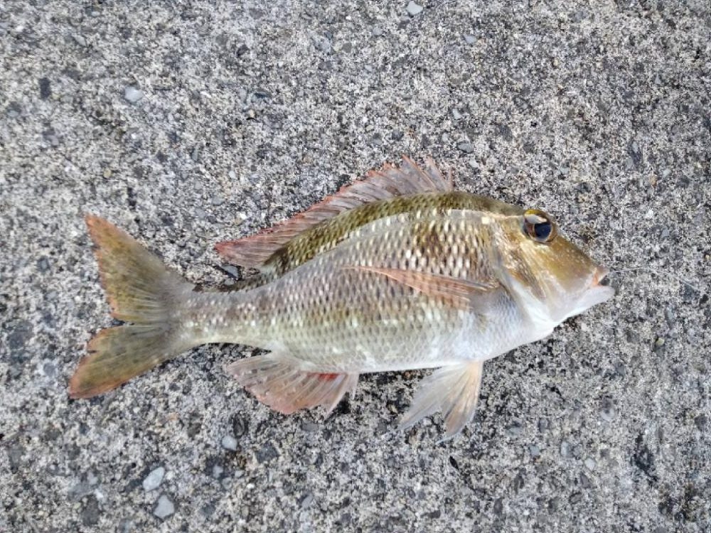 飲ませでｷﾀ━(ﾟ∀ﾟ)━!