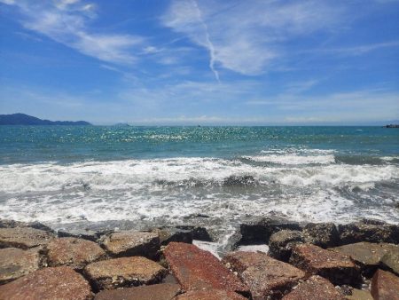 久しぶりのキス釣り