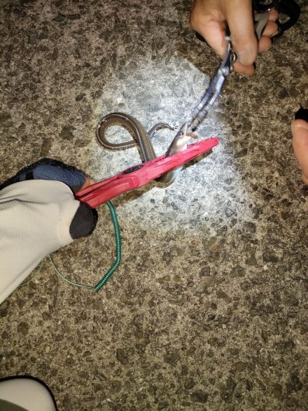 ちょい遠出の撃沈