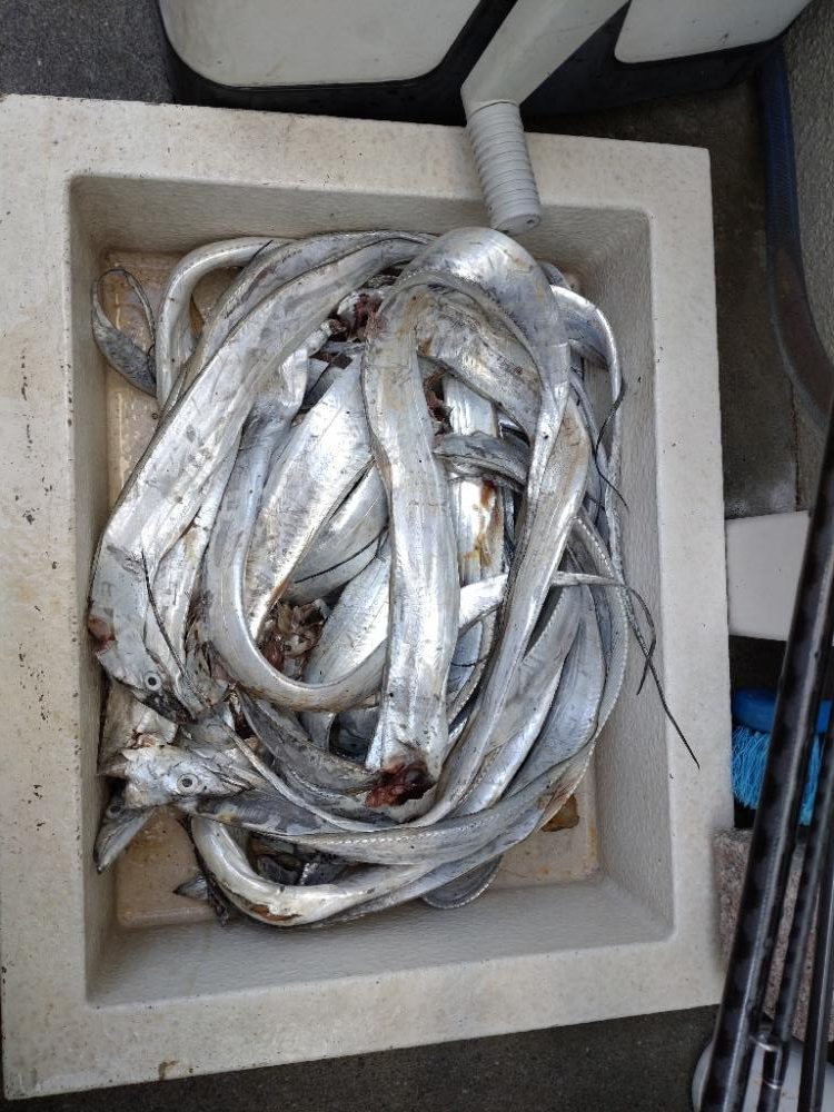 調査のつもりが初タチ