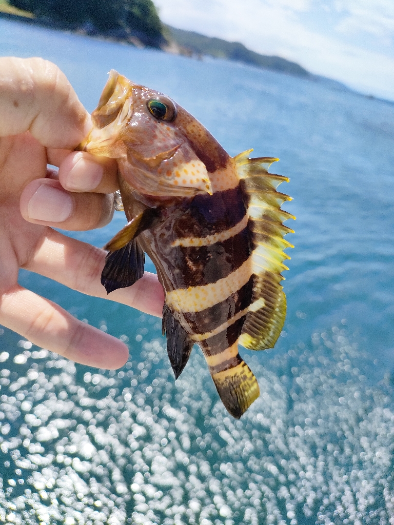 先日のリベンジ！