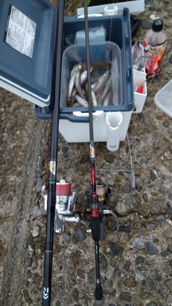 遠投デビュー〜チョイ投げとの使い分け〜