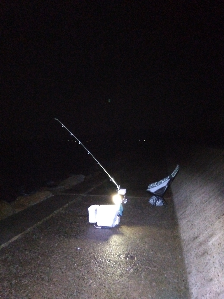 苅屋海岸のキス釣り