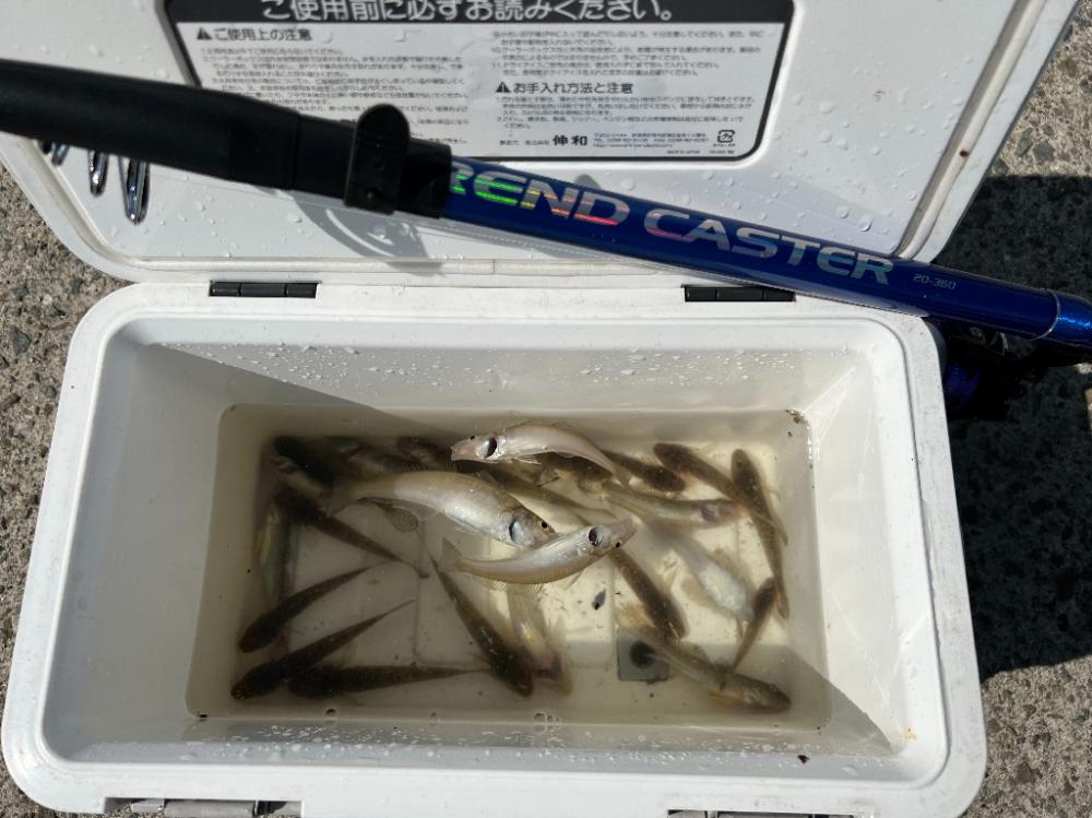 Kissは天ぷらにして～🎵