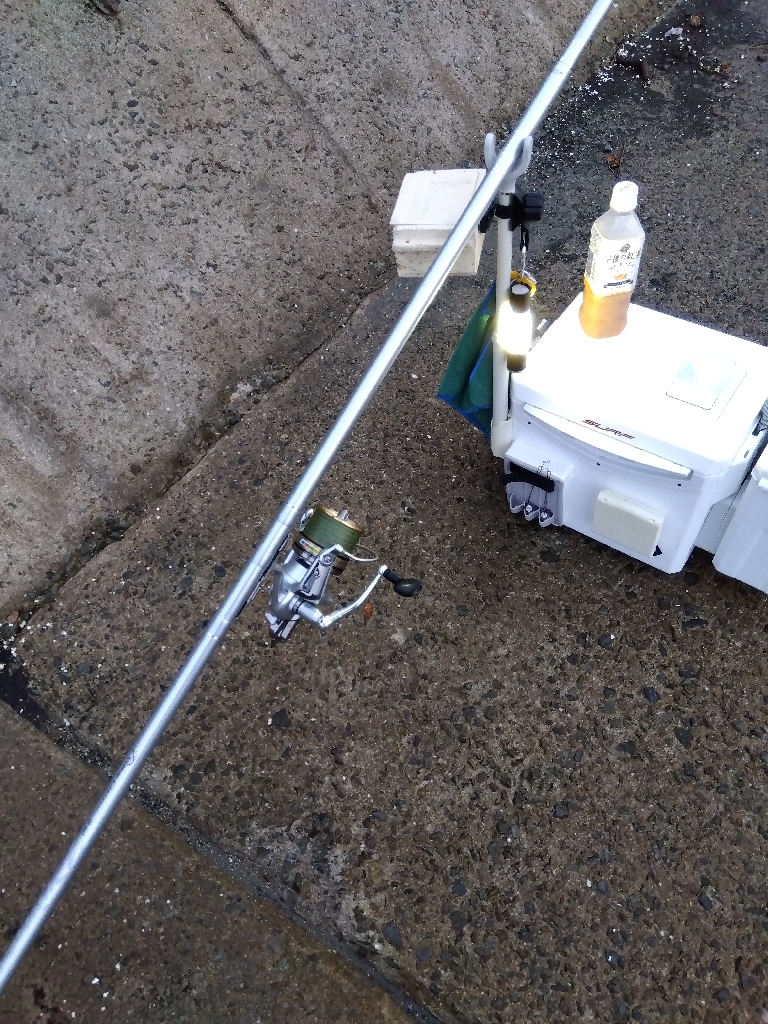 苅屋海岸のキス釣り