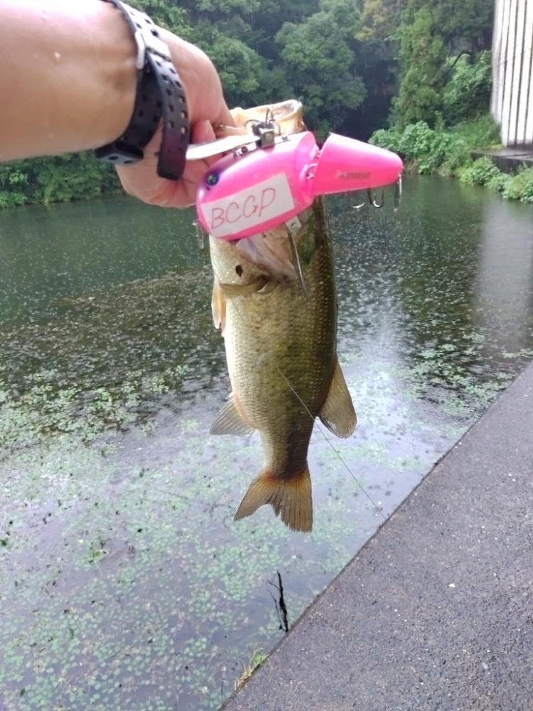 ちょうど良い雨