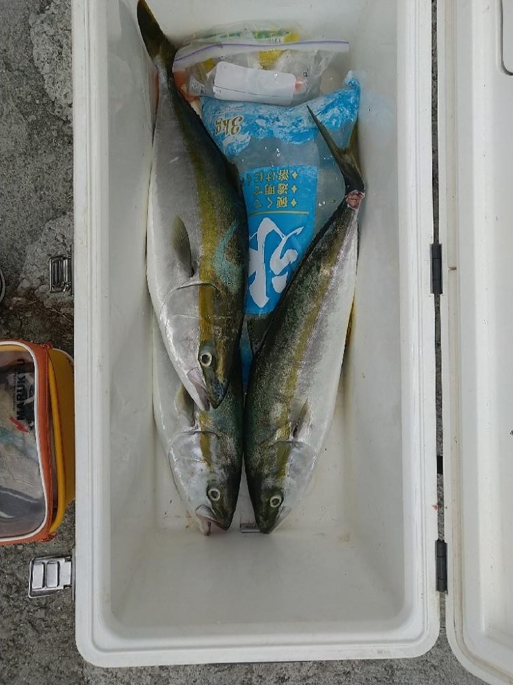 明石でジギング(昼便)