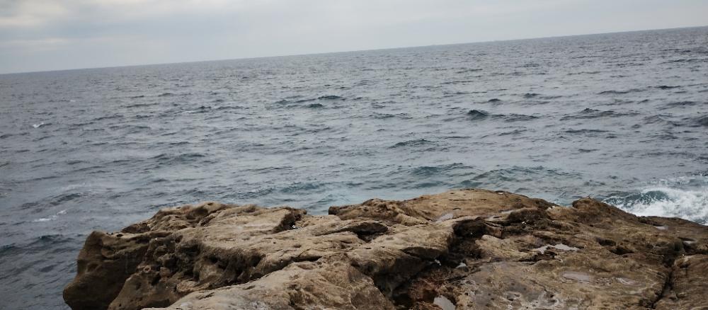 涼しくなってきました