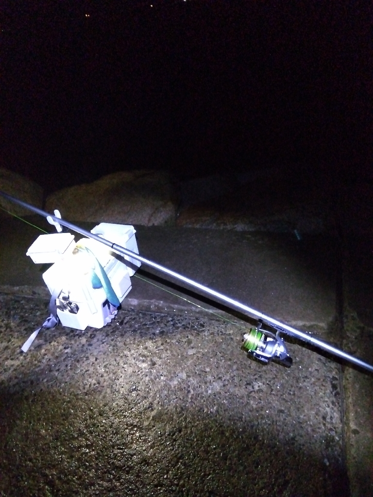 苅屋海岸のキス釣り