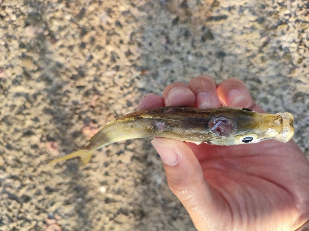 おNewのリールで♪