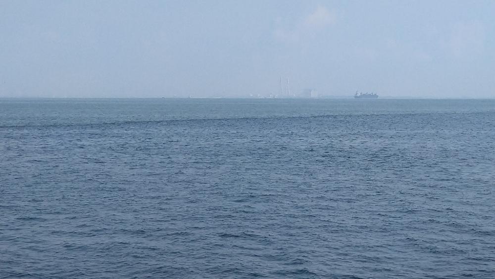 チョイ投げ&遠投キス釣り〜何かおかしい偏〜