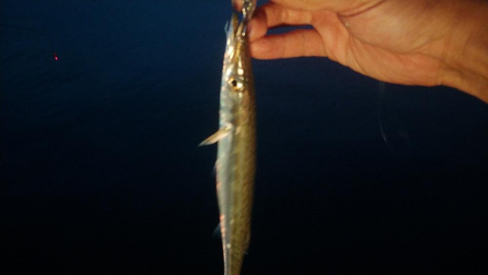 釣りツーリングキャンプ2日目