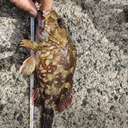 いつもの浜田港にて