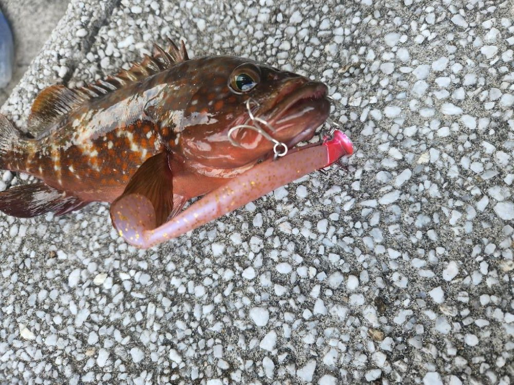 はじめての場所で