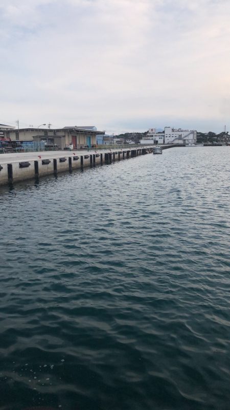 のんびりサビキ