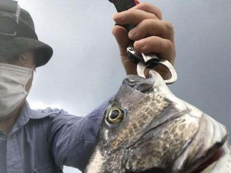 泉南にメッキとカマス調査