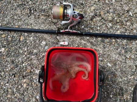 遅起きも三文の徳