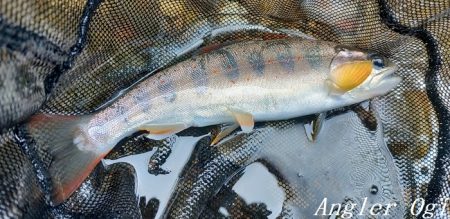 天川村は渇水期も関係なし！