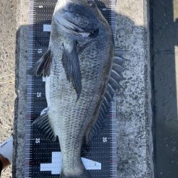 イチノ兄弟、釣果!