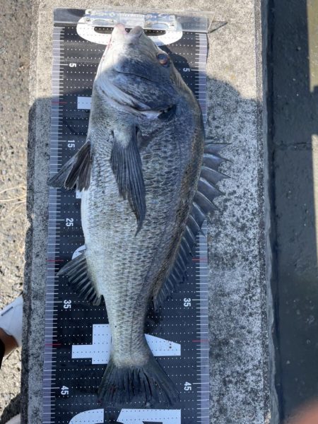 イチノ兄弟、釣果!