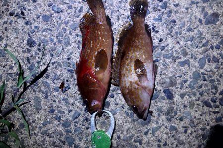 盆休み1日目の朝